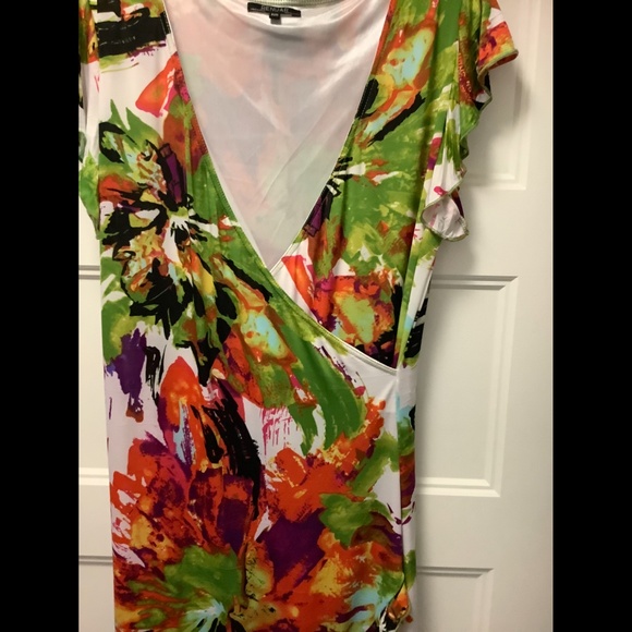 Renuar Dress - Picture 2 of 12